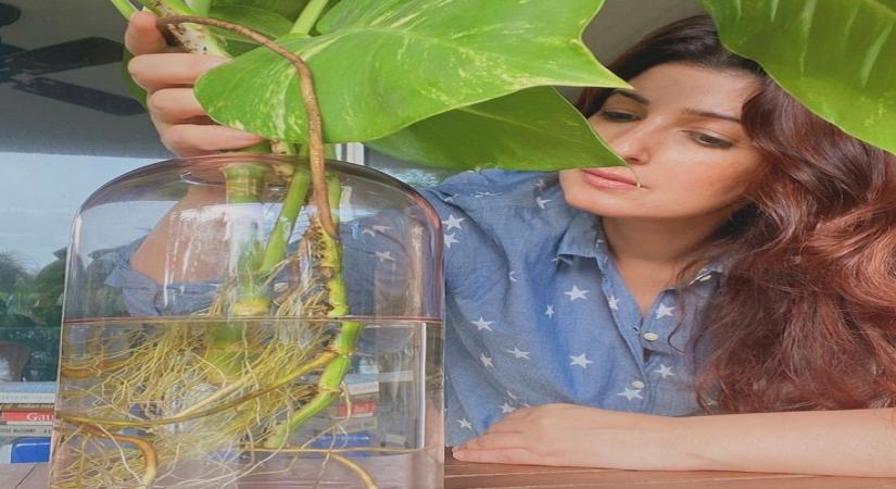 Twinkle Khanna loves to 'potter around' with her plants