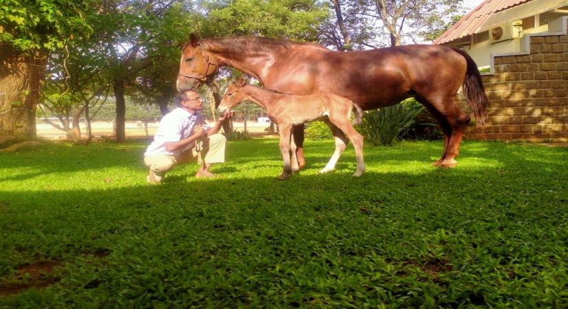 Randeep Hooda names newborn foal Hope after his mother Asha