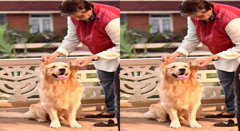 Big B shares picture posing with his 'co-star'.(photo:Instagram)