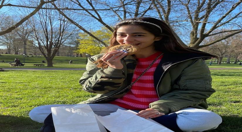 Ananya Panday reveals what makes her 'smile 101'( credit : Ananya Panday/instagram)