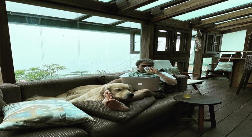 Vishal Bhardwaj posts a snapshot with pet Roohdaar from scenic Landour