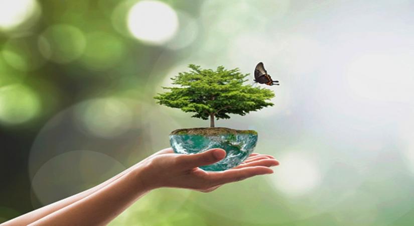 Pratik Gandhi, Malika Arora among celebs backing awareness drive on World Environment Day
