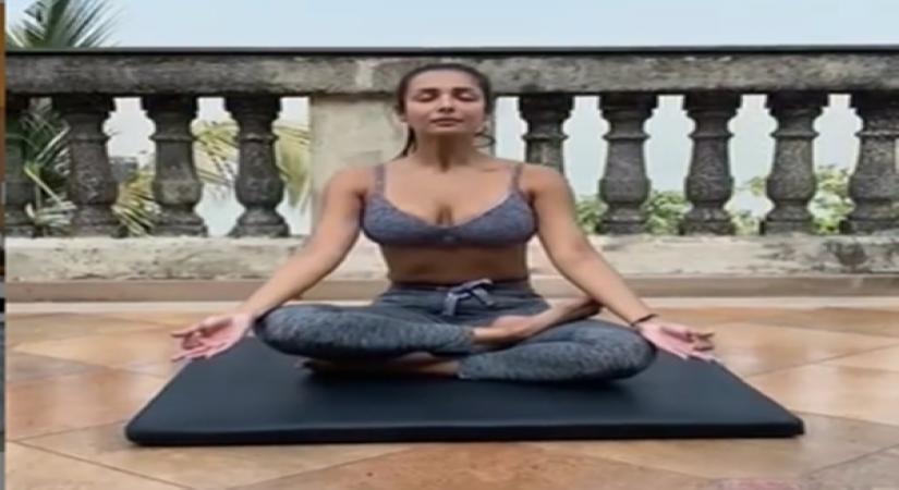 International Yoga Day: Malaika Arora says yoga is 'a way of life' for her now (Credit : Malaika Arora/instagram)