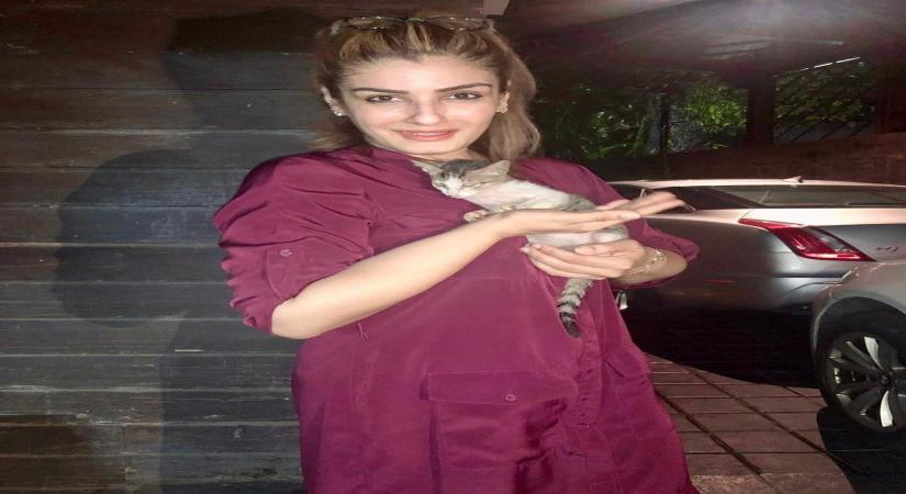 Raveena posts pics of rescued animals: 'My house has become like Dr Dolittle's home'