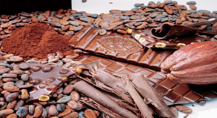 Why Switzerland is a haven for chocolate lovers!