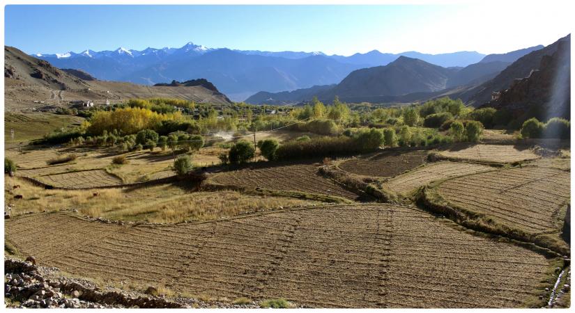 Fields a few weeks after harvest in late autumn, near Gompa village (Source - Artist)