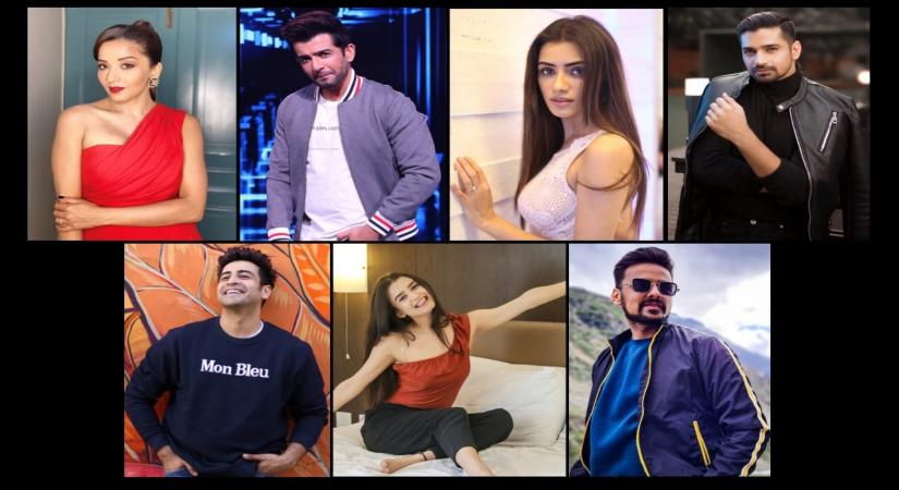 Jay Bhanushali, Monalisa open up on their roles in 'Dhappa'.