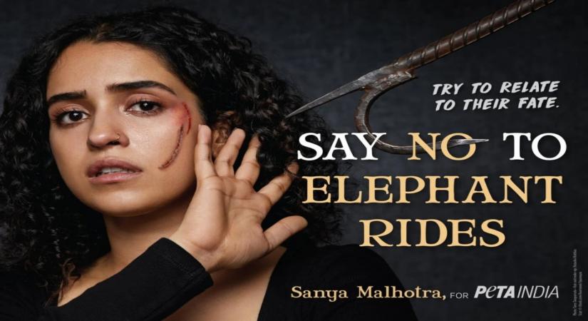 Sanya Malhotra joins forces with PETA India against elephant 'joyrides'.