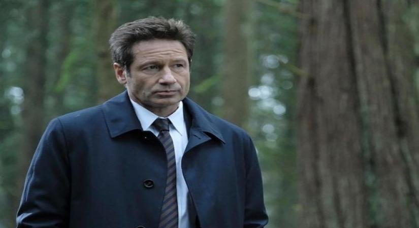 David Duchovny.(photo:instagram)