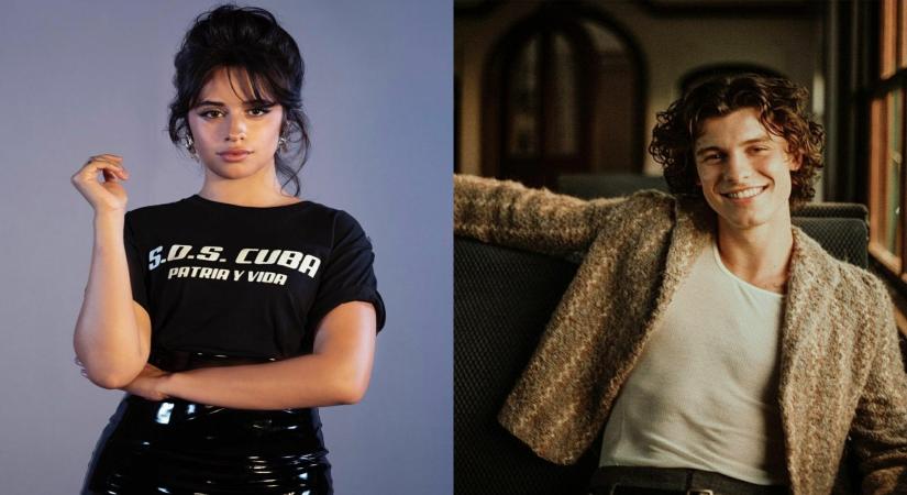 Camila Cabello welcomes Shawn Mendes to Global Citizen Fest with PDA on stage.