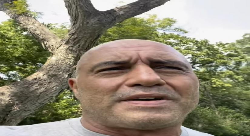 Joe Rogan.
