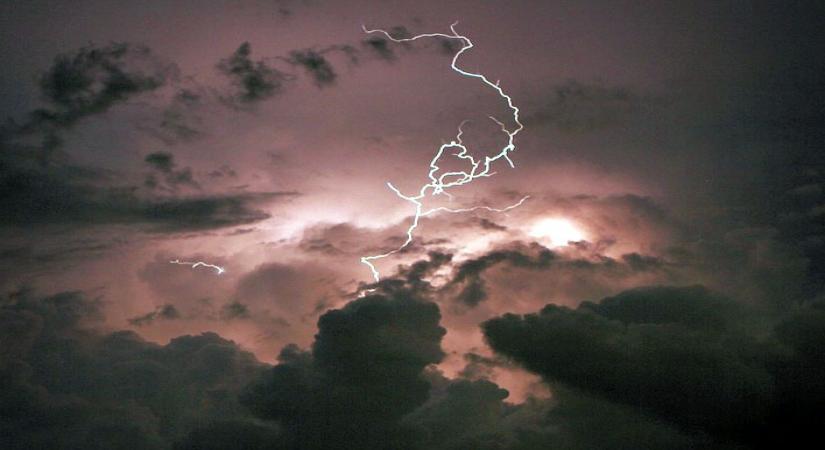 Heavy rains continue to lash MP, 1 dead in lightning strike