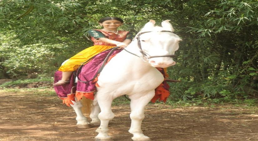Saddle Up: Aarohi Patel on how she learnt horse riding for 'Kashibai Bajirao Ballal'