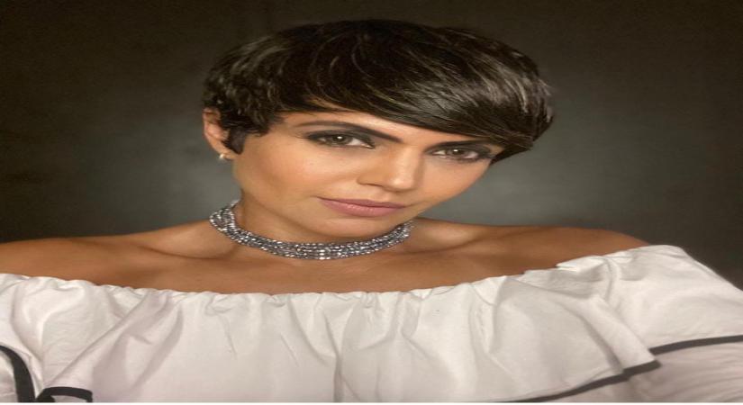 Mandira Bedi recalls late husband Raj Kaushal's hard work