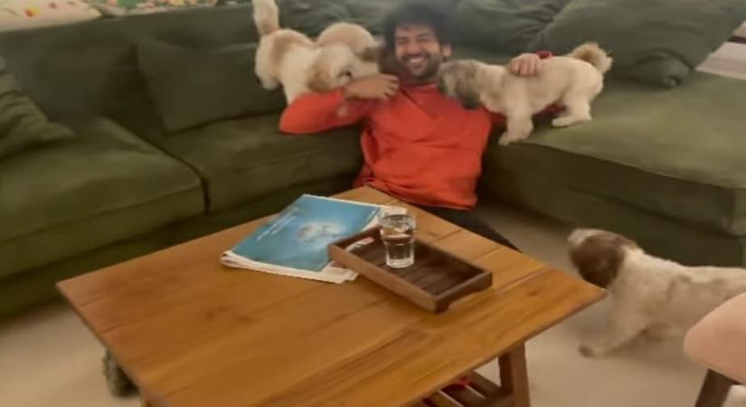 Kartik Aaryan.