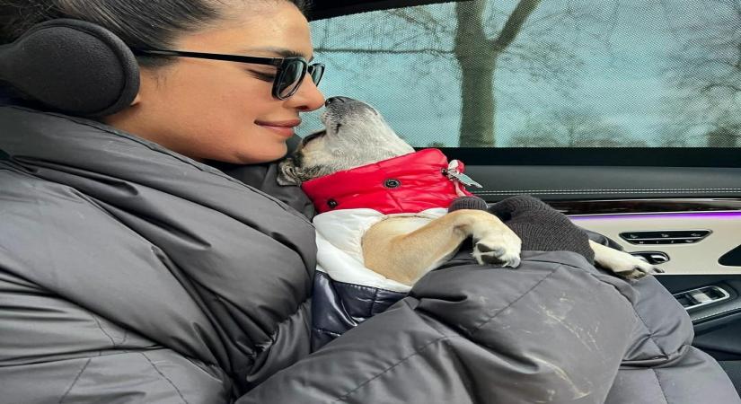 Priyanka Chopra bringing her pets to work.