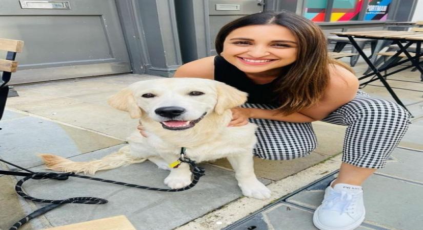 Parineeti Chopra recently shared how she wants to be a dog mom, but she cannot have a pet dog .(Photo:instagram)