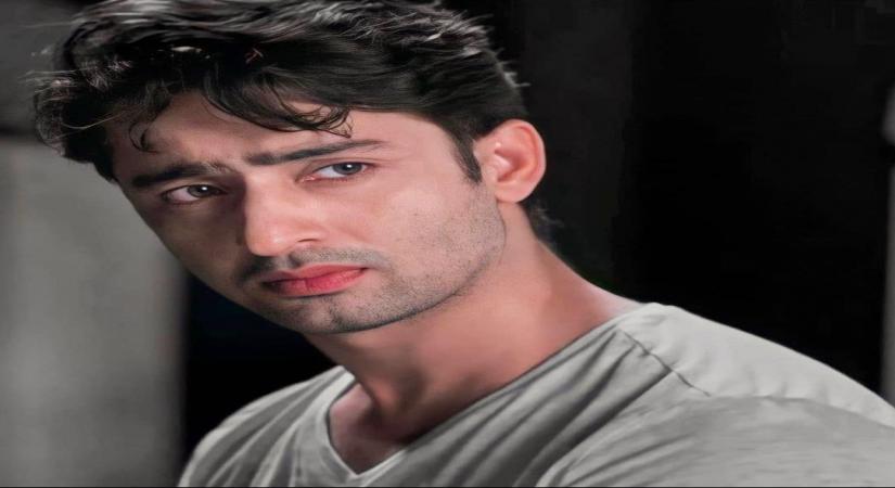 Shaheer Sheikh.(photo:instagram)