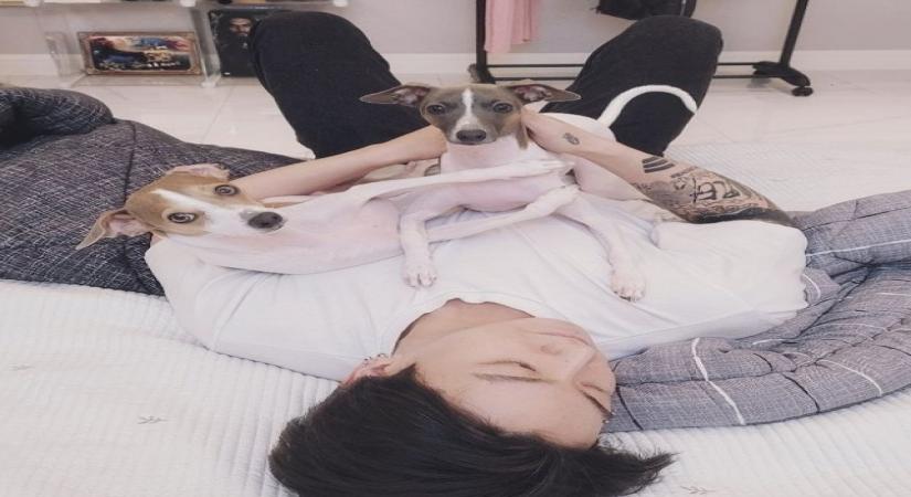 BTS' Jungkook trends after sharing pictures posing with pups.(photo:instagram)