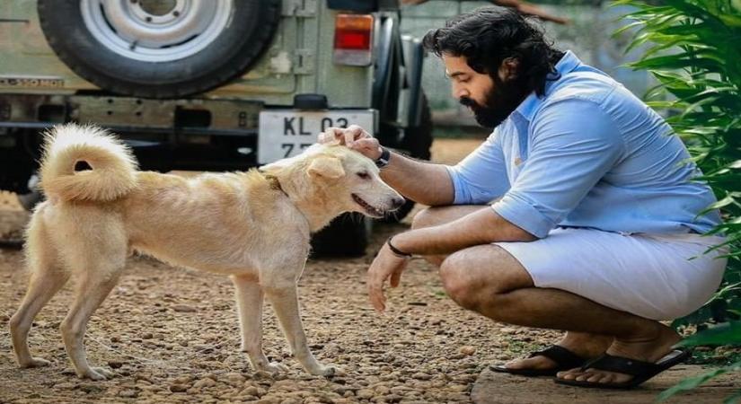 Unni Mukundan in Meppadiyan.