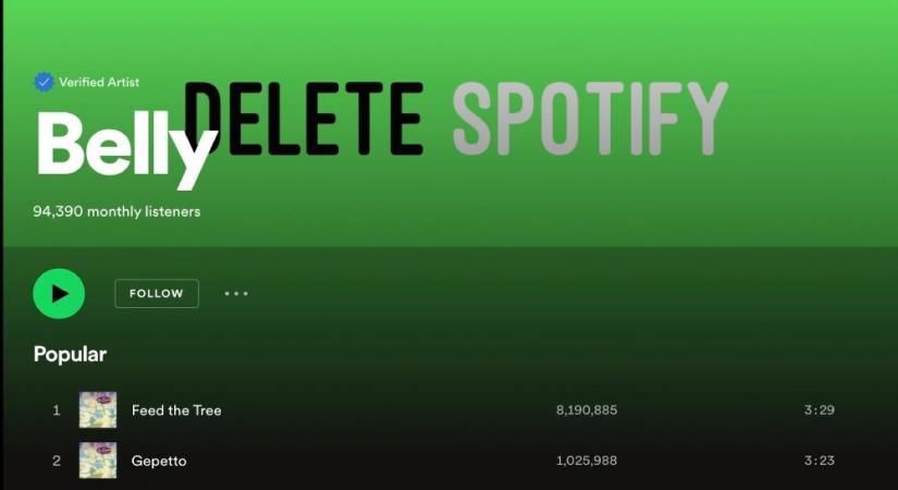 Delete Spotify.
