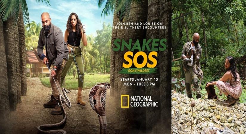 The Longest Venomous Snake, Snakes SOS: Goa's Wildest
