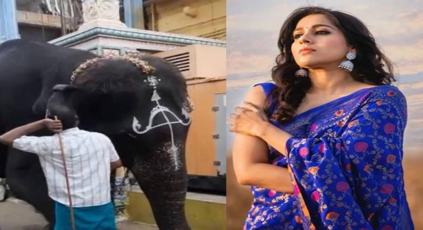 Actress Rashmi Gautam urges people to say no to animal rides, captivity.