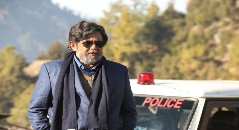 Mithun Chakraborty Bestseller character