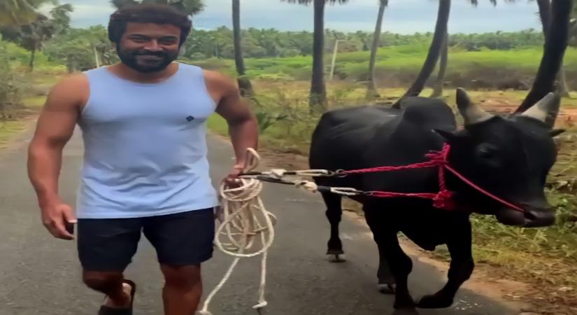 Suriya extends Tamil New year greetings even as he walks his bull thrills fans