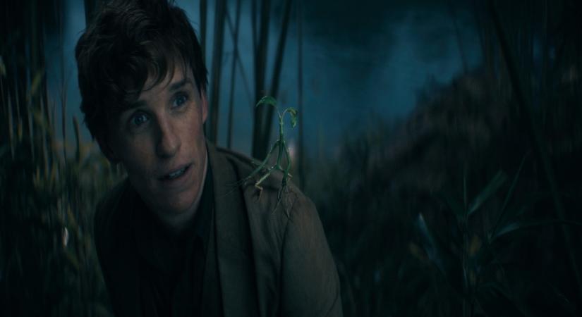 Juxtaposition of the wizarding, non-magical world has always appealed to me: Eddie Redmayne