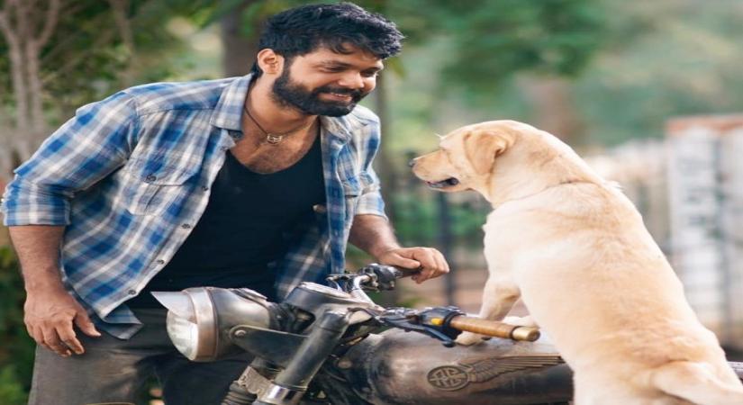 I can speak good Hindi says Kannada star Rakshith Shetty, all set to dub himself for '777 Charlie' Hindi version.