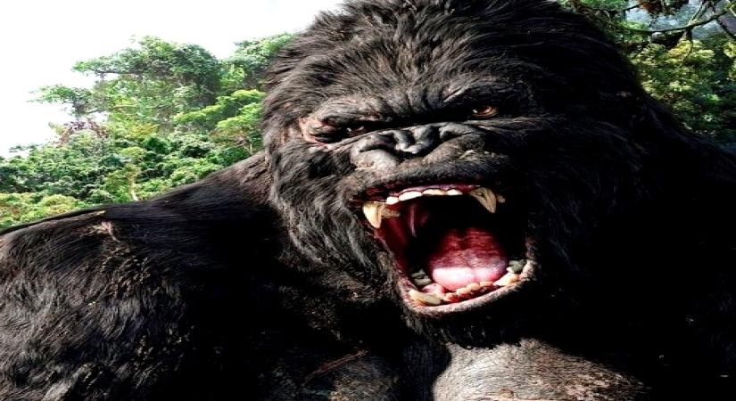Live-action 'King Kong' origin series in early development.