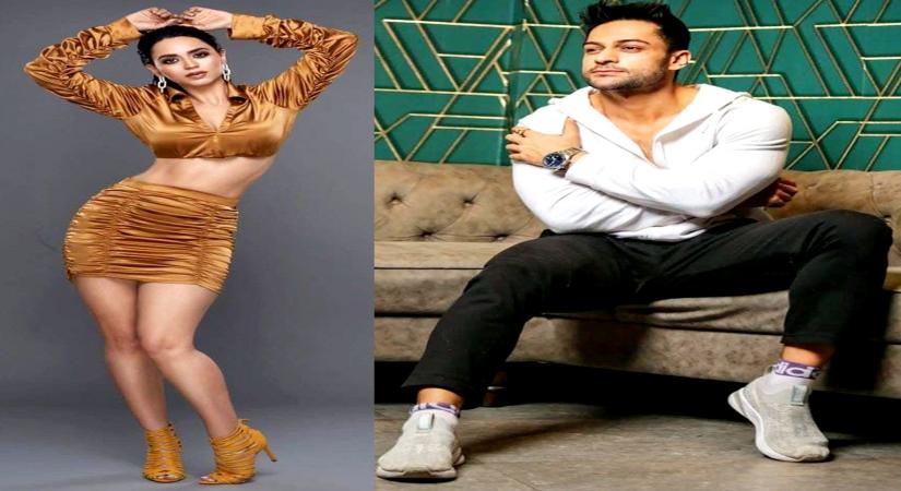 Shalin Bhanot-Bigg Boss 16.