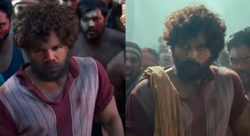 David Warner praises Allu Arjun for 'Pushpa': We loved it so much