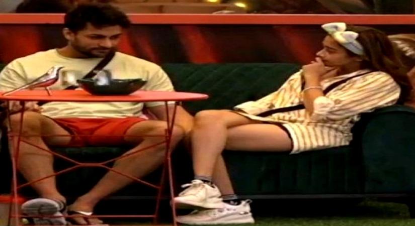 'Bigg Boss 16': Housemates feel Tina will ditch Shalin.