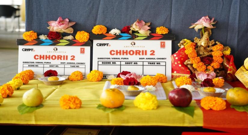Cchorii 2