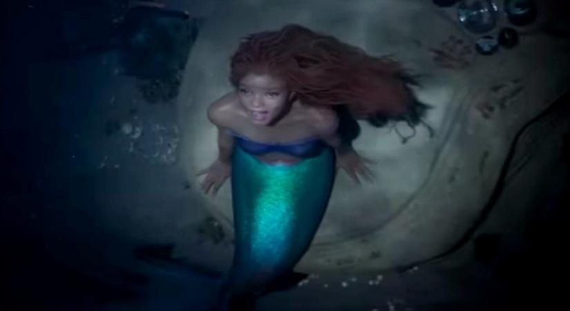 'The Little Mermaid' had 'no agenda' when casting Ariel, says director.