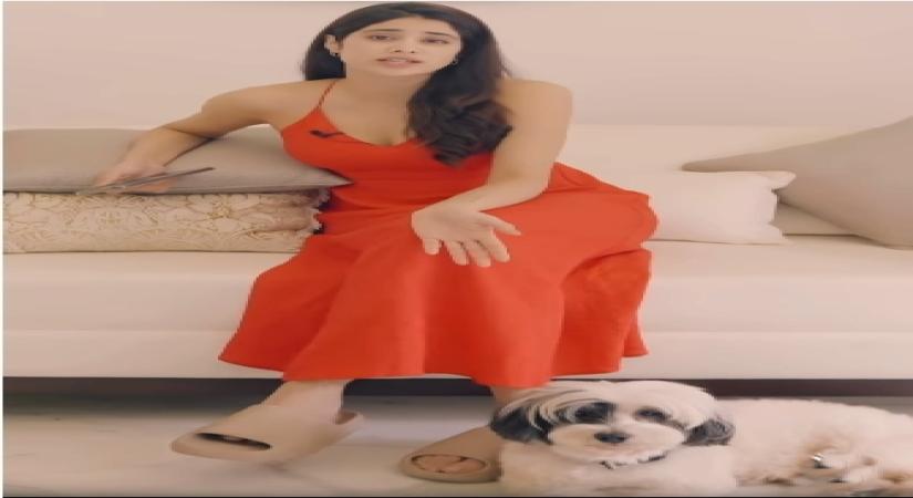 Jahnvi with her pet . (credit: instagram)