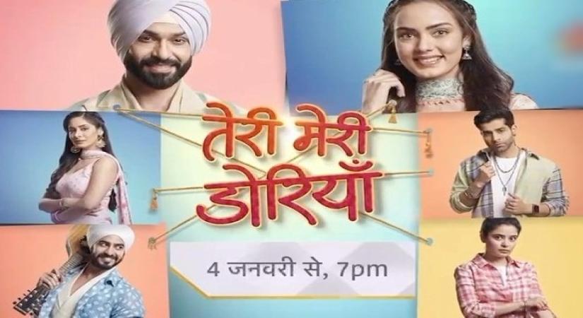 Vijayendra, Himanshi rejoice in the Punjabi connect with 'Teri Meri Doriyaann'.(photo:Instagram)