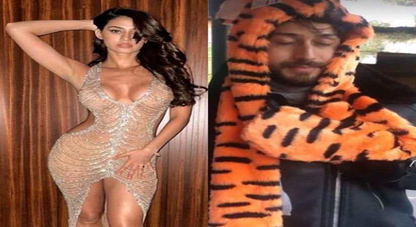 Disha Patani wishes 'Tiggy'