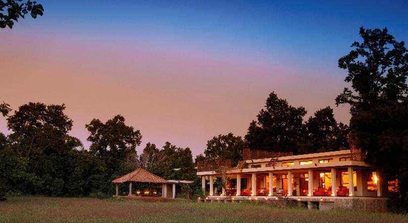This summer, Experience the magnificence of the jungles with Taj Safaris
