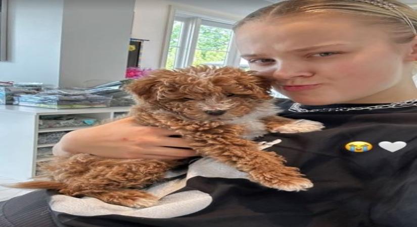 Jojo Siwa's puppy gets tragically killed in accidentg