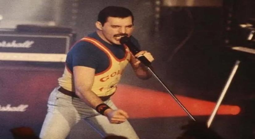Queen frontman Freddie Mercury.(photo:instagram)