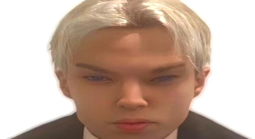 Canadian actor dies at 22 after 12 surgeries to look like BTS' Jimin.(photo:Twitter)