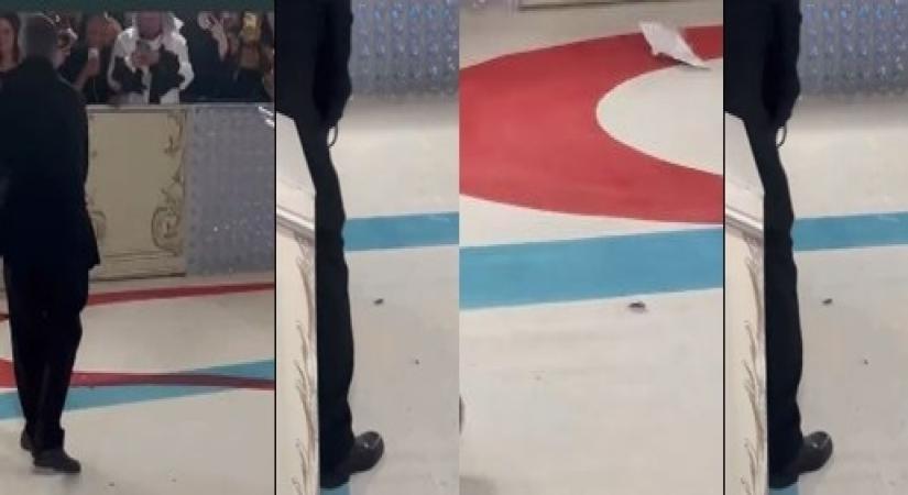 After cats, Met Gala carpet hosts a cockroach