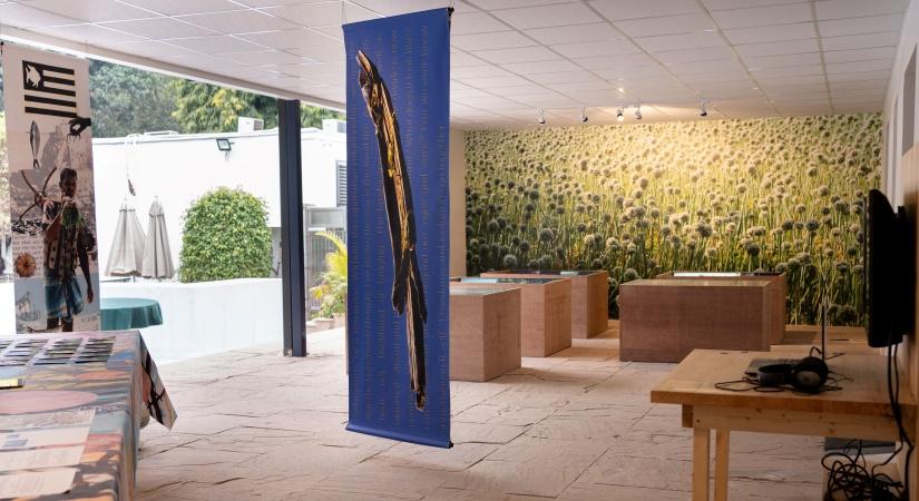 Mangroves, kattumarams, soil from Nubra Valley – artists focus on Earth’s Critical Zone at Goethe-Institut exhibition