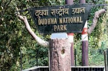 Dudhwa National Park
