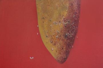 Bee Hive, Acrylic on canvas, 2009 