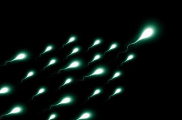 Sperm. (File Photo: IANS)