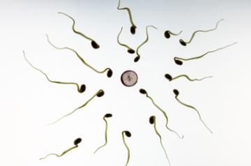 Tips for men to boost fertility naturally